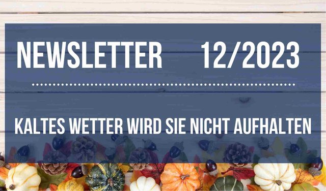Newsletter 2023/12: Kaltes Wetter wird Sie nicht aufhalten
