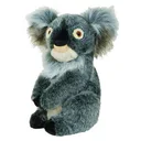 Daphne's Koala kryt hlavy