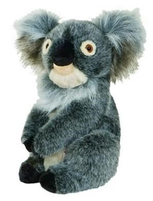 Daphne's Koala kryt hlavy