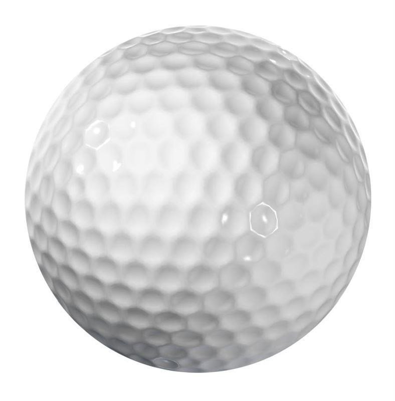 Longridge Blank 2-Piece golfové loptičky