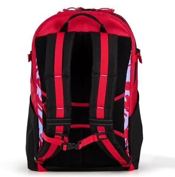 Ogio Alpha 20L batoh, melting geos