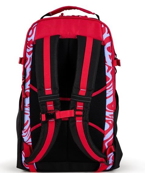 Ogio Alpha 25L Backpack taška