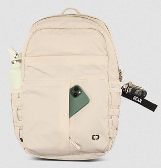 Ogio Rise Backpack 20L frost taška