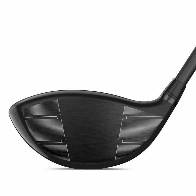 Wilson Dynapower Carbon pánsky driver