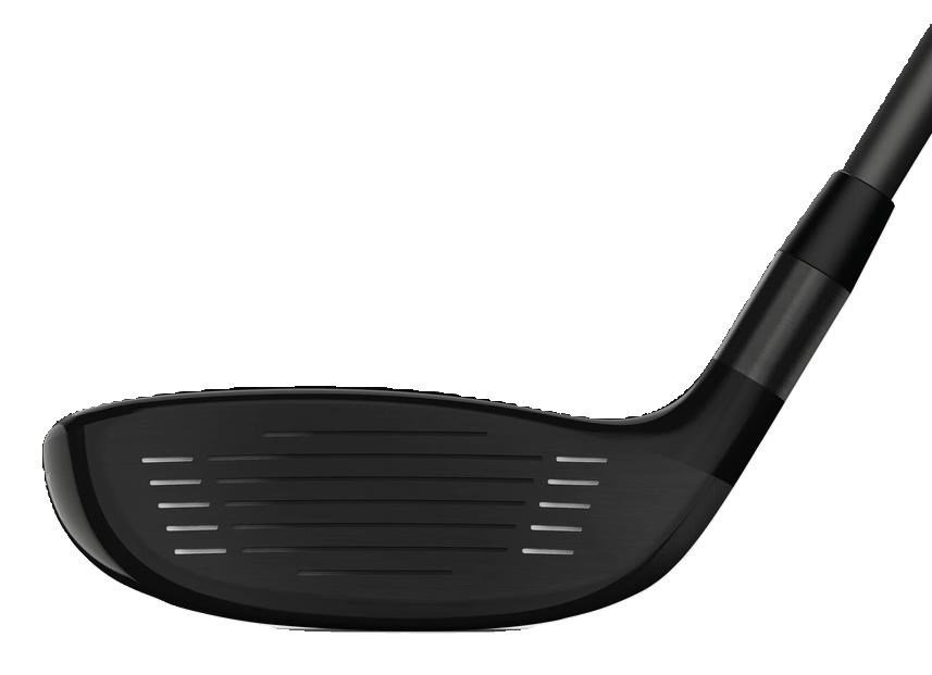 Wilson Dynapower pánsky hybrid 2025