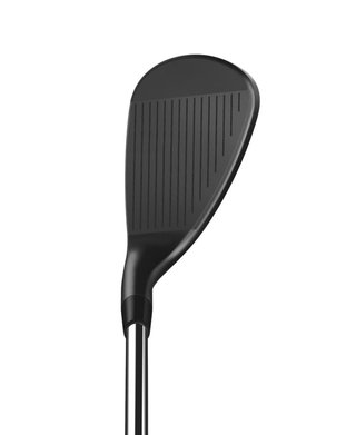 Wilson Infinite pánsky wedge, oceľ