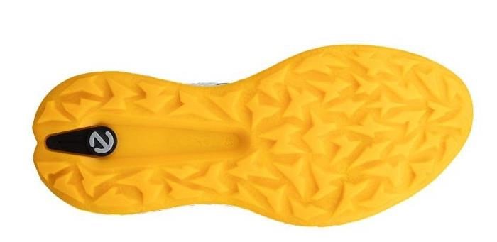 Ecco Biom H5 pánske golfové topánky, wild dove