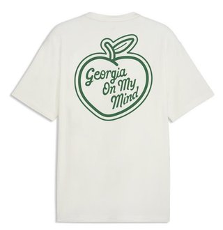 Puma 30904 pánske polo, warm white/green