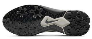 Nike Pegasus 1 pánske golfové topánky, čierna/sail/biela