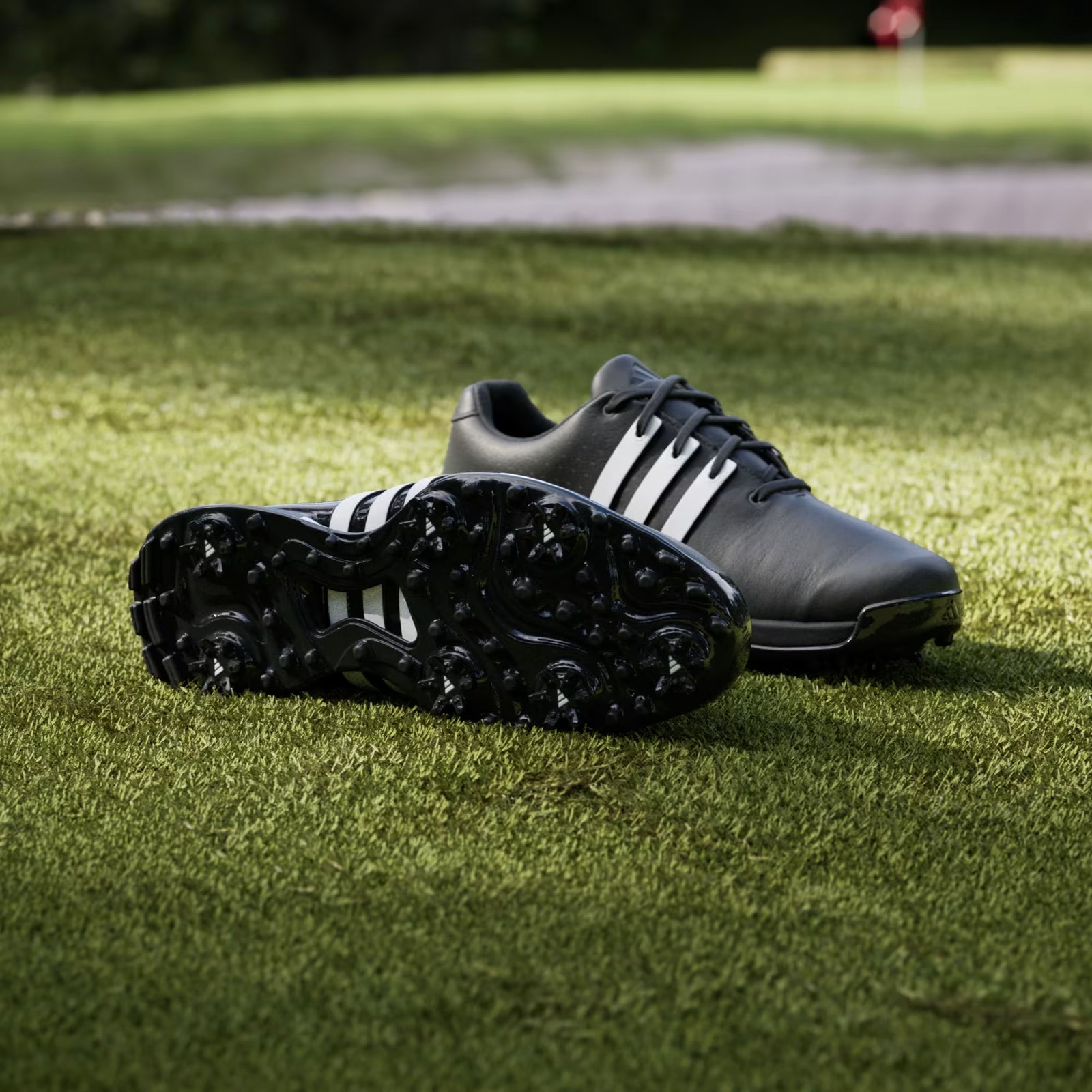Adidas Tour360 24 pánske golfové topánky, čierne