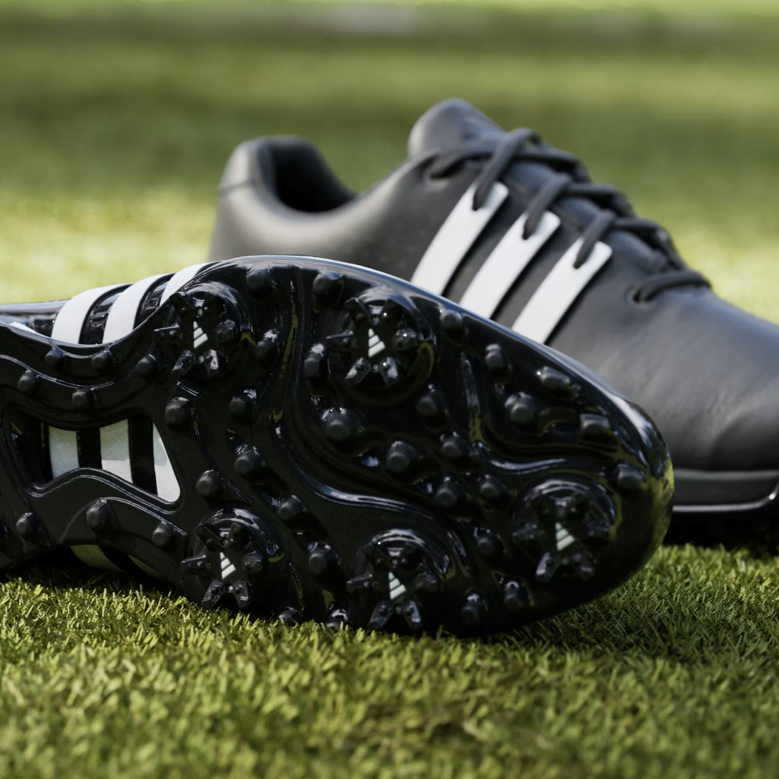 Adidas Tour360 24 pánske golfové topánky, čierne