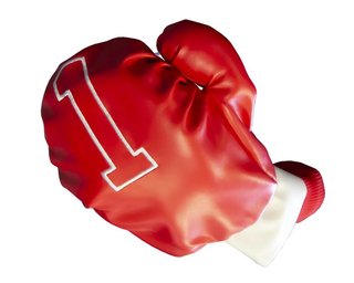 Longridge Boxing Gloves Wood Headcover kryt hlavy